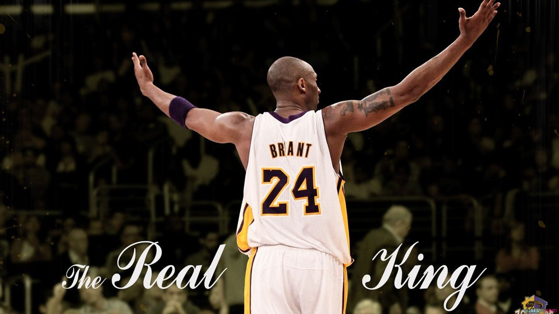 “美洲狮队在橄榄球冠军锦标赛展现强大韧性”